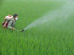 used in pesticide.jpg
