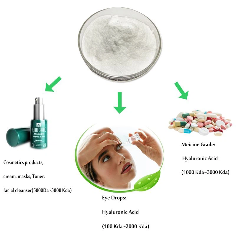 Hyaluronic Acid Powder 1