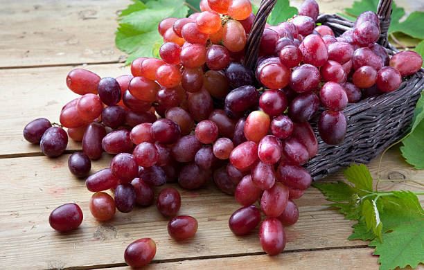 Grape Seed Extract Powder