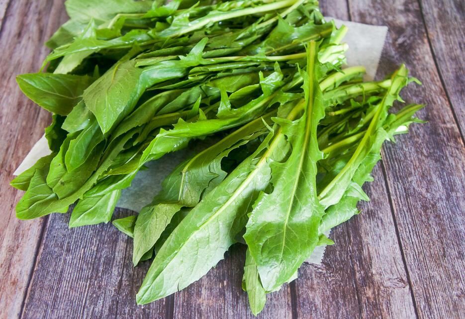 Dandelion root extract powder