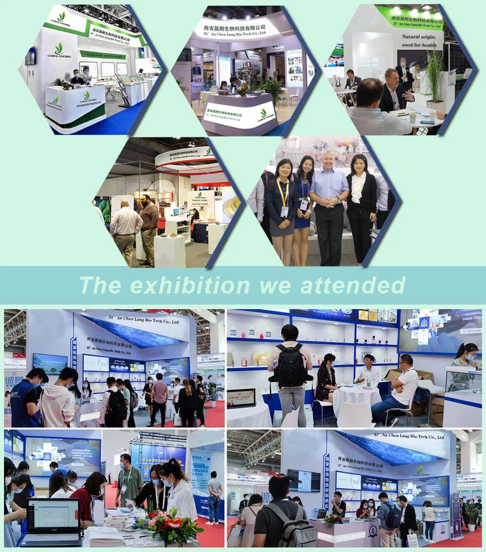 our exhibition