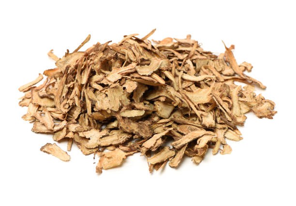 Angelica-Root.jpg
