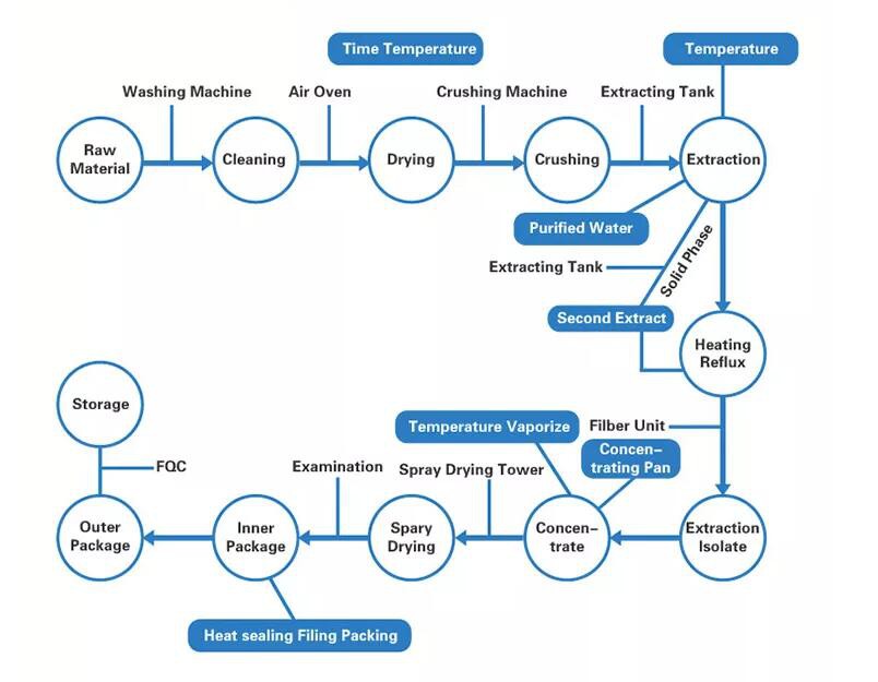 Artichoke-Extract-Powder-flow-chart