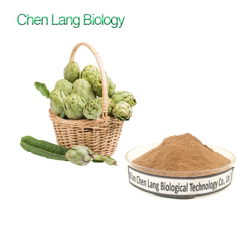 Artichoke-Leaf- extract-powder