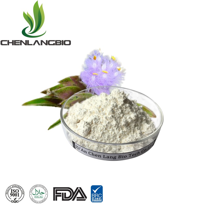 Beta-Ecdysterone- Powder