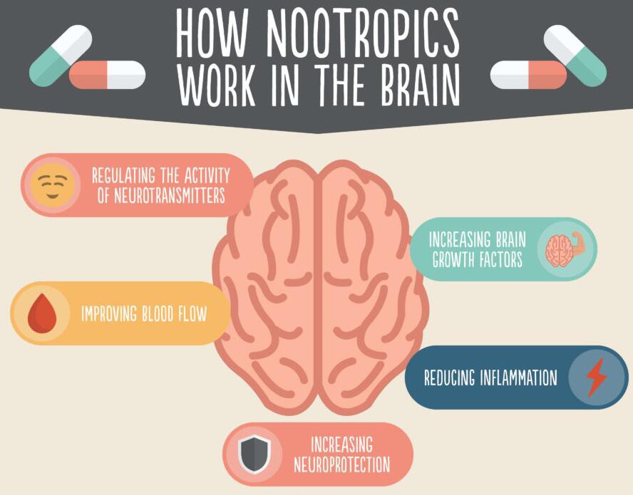 nootropics-brain