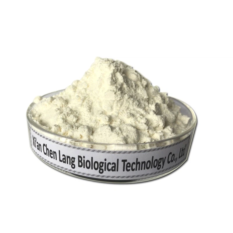 Saw Palmetto Extract