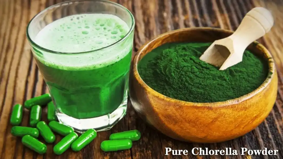 Chlorella Hmoov Supplier.jpg
