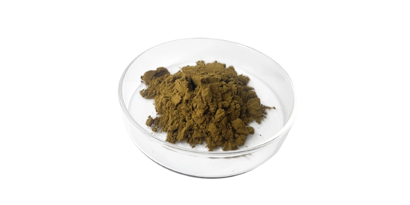 Ivy Leaf Powder.jpg