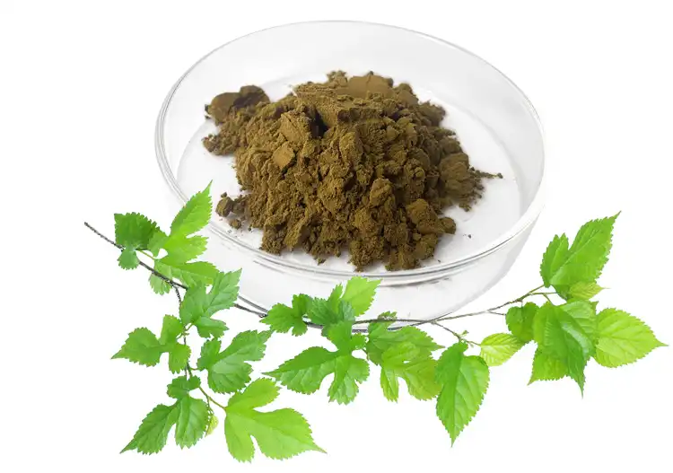 Mulberry nplooj Extract Powder.jpg