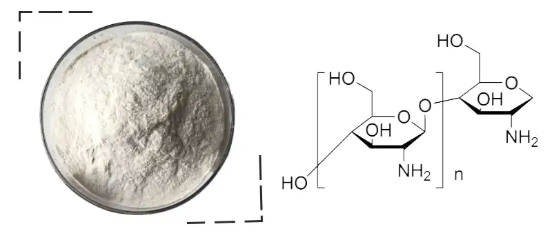 κυτταρόπλασμα Factoey.jpg
