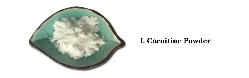 L Carnitine .jpg ib