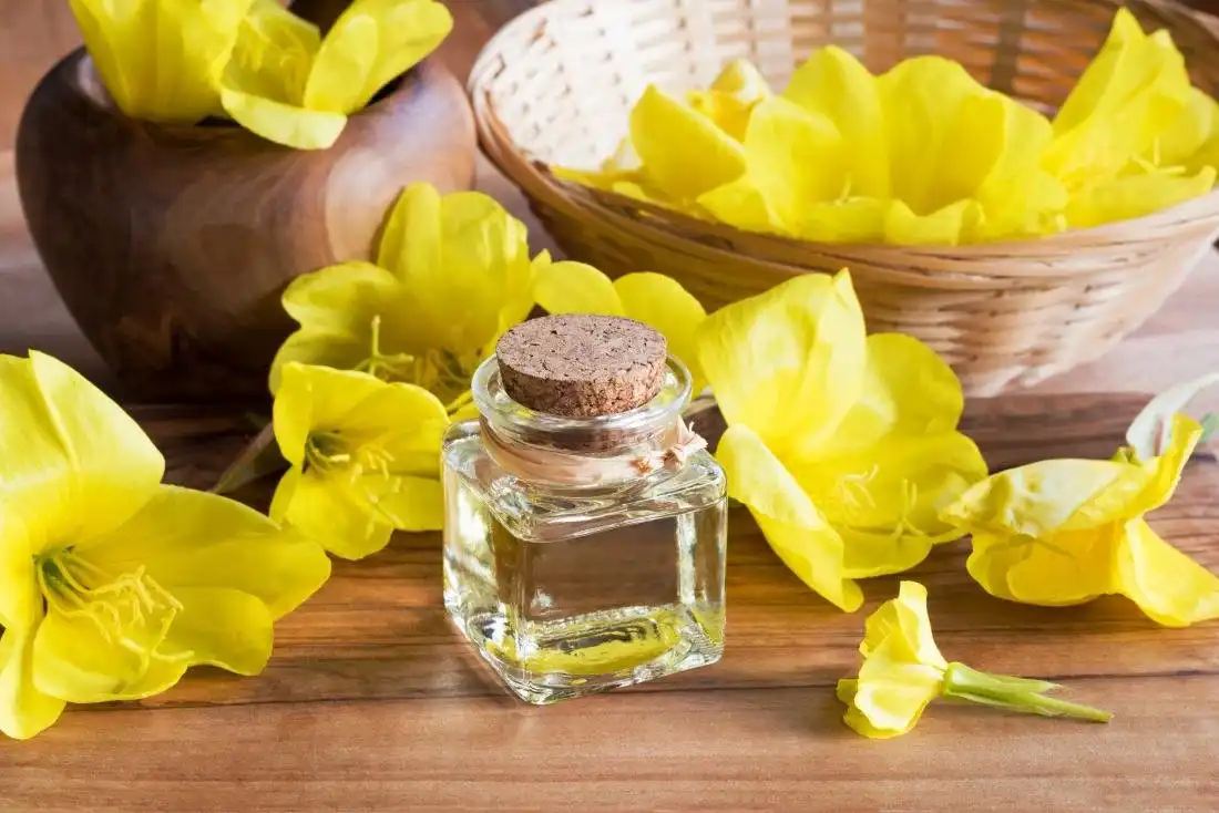 Yav tsaus ntuj Primrose Roj Powder.webp