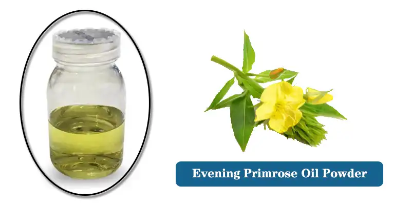 Yav tsaus ntuj Primrose Oil Supplier.jpg