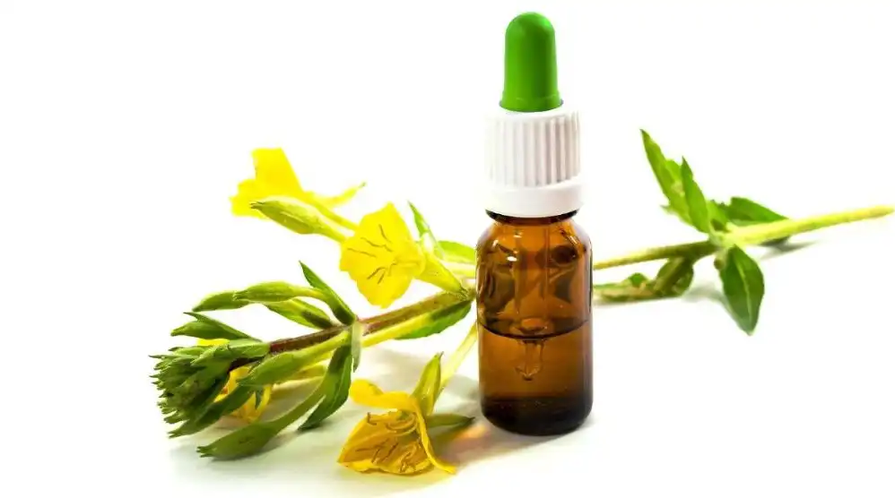 Yav tsaus ntuj Primrose Oil.jpg