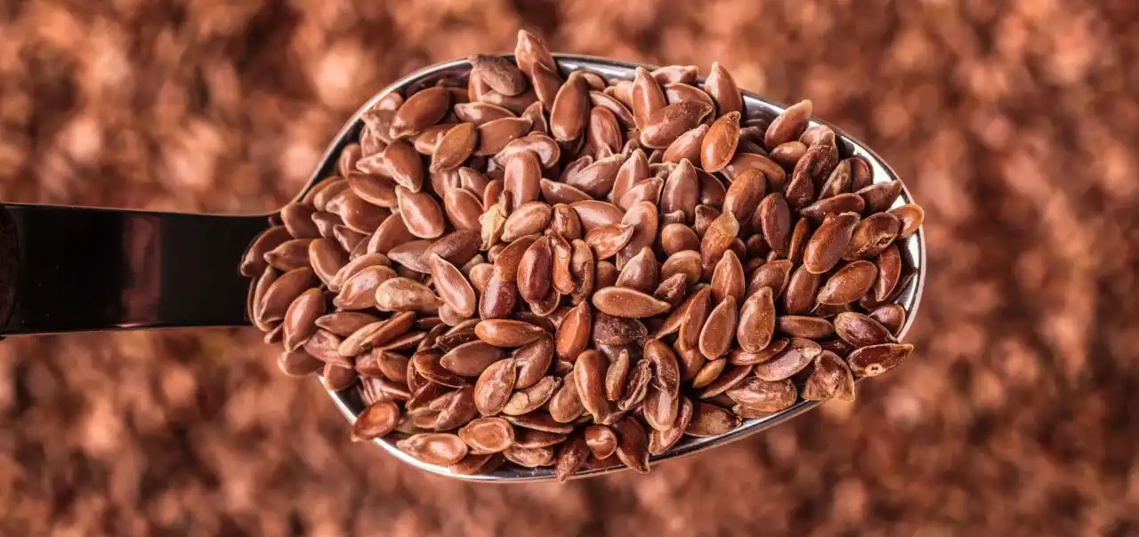 Flaxseed Roj.jpg