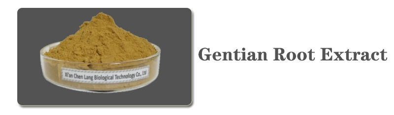 Gentian hauv paus Extract.jpg