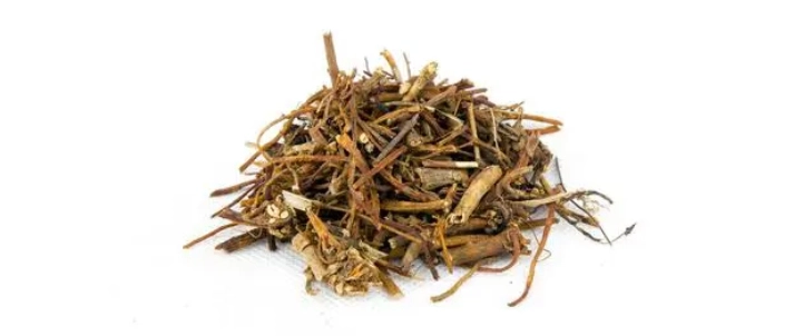 Gentian hauv paus .jpg