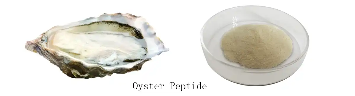 Oyster Peptide NP