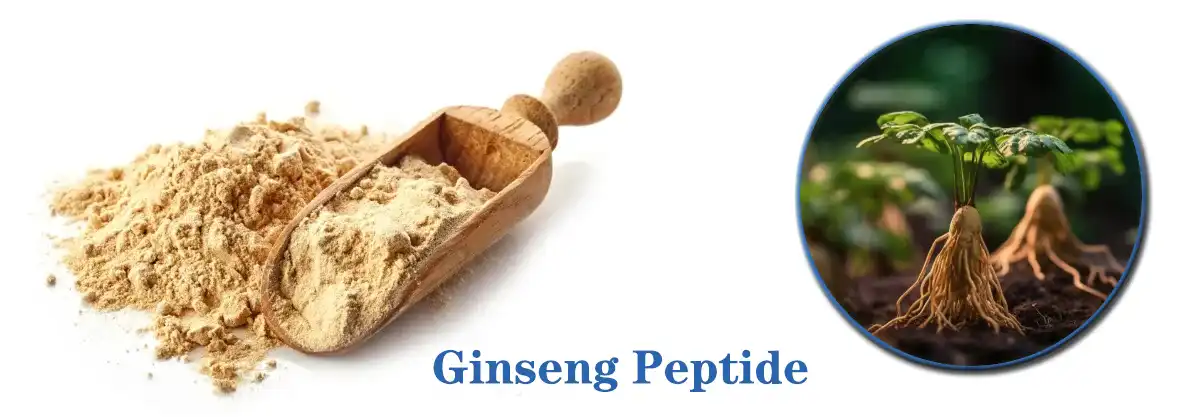 Ginseng Peptide Muag.jpg