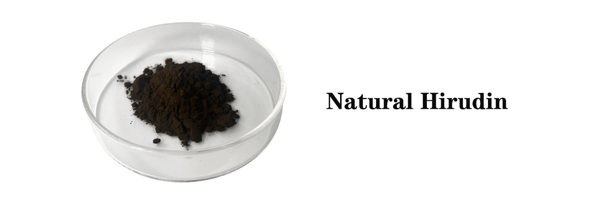 Χωρίς τίτλο - 1.jpg