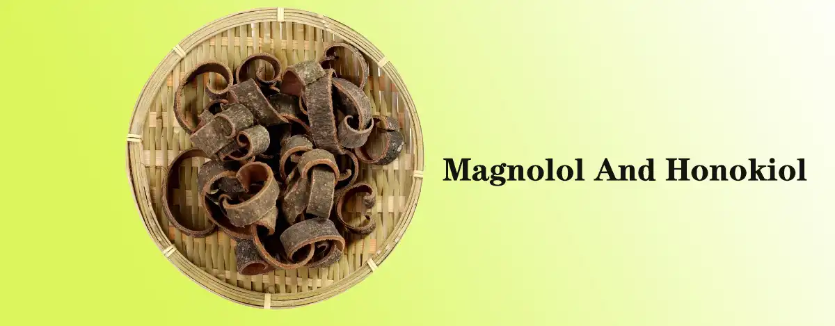 Magnolol Thiab Honokiol Sale.jpg