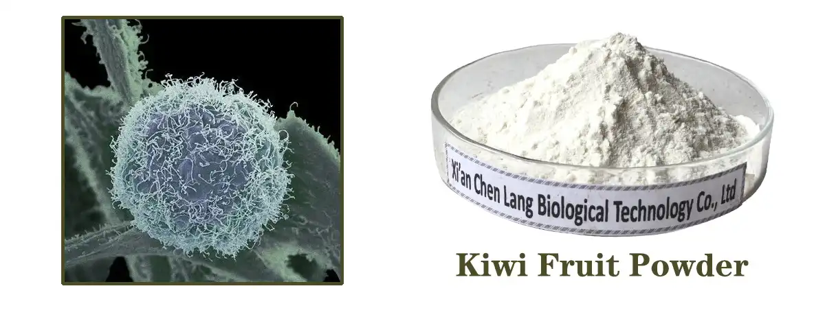 Kiwi txiv .jpg