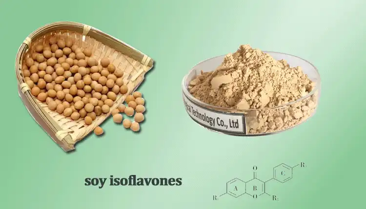 soy-isoflavones.gif