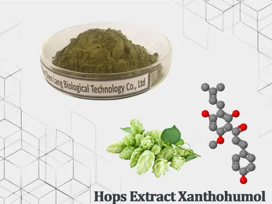 Hops-Extract-Xanthohumol.gif