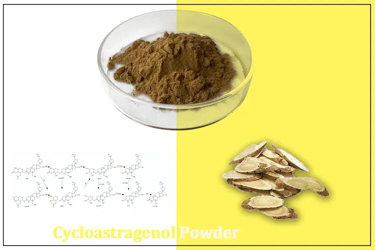 Cycloastragenol-Powder5.gif