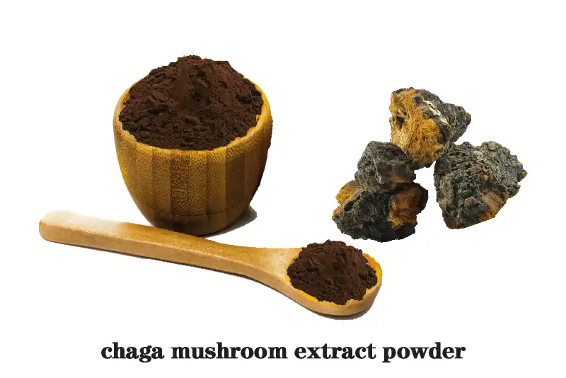 chaga-mushroom-extract.gif