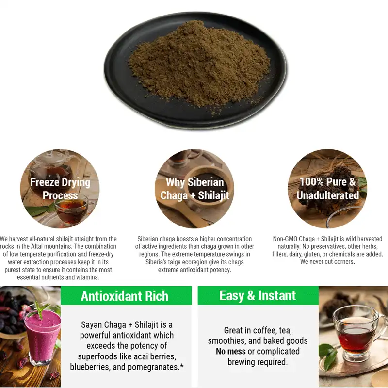 Chaga-Mushroom.gif
