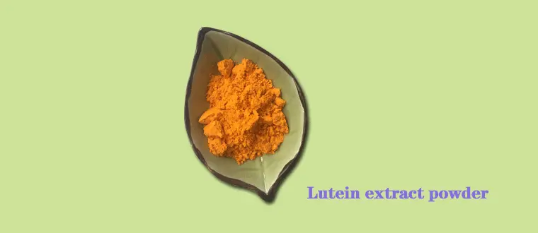 Lutein-extract-powder-A.gif