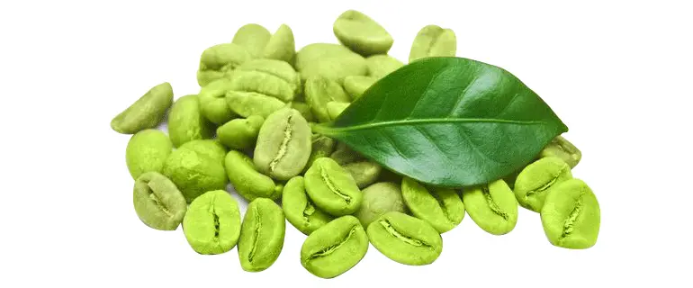 green-coffee-bean.gif