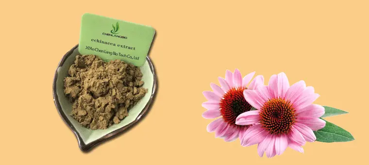 Echinacea-Extract.gif