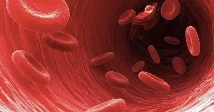 blood.jpg