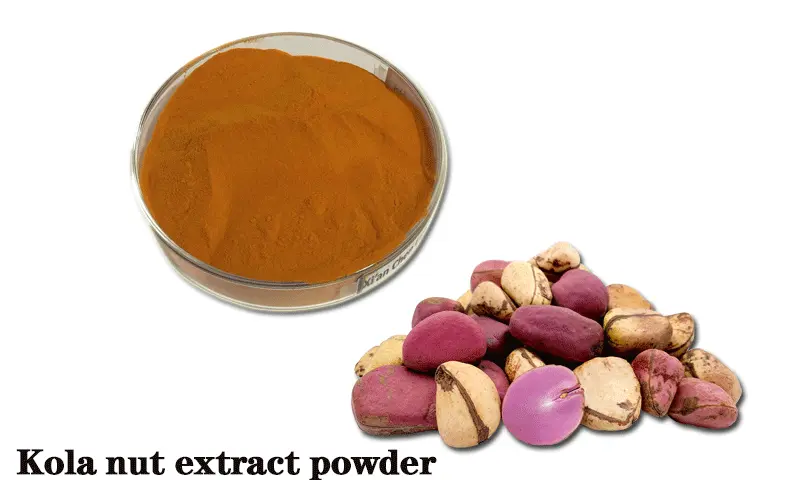 Kola-nut-extract.gif