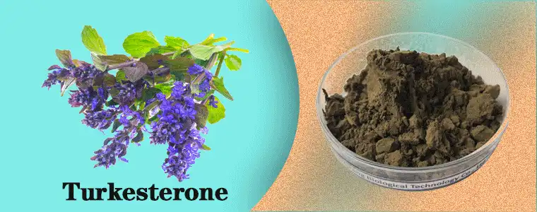Turkesterone-b.gif
