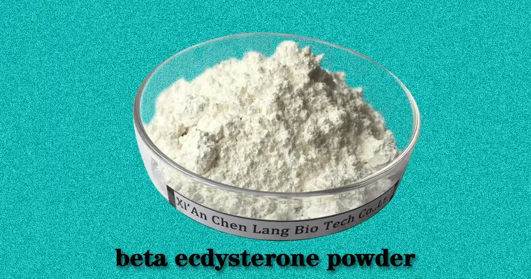 beta-ecdysterone-powder-u.gif