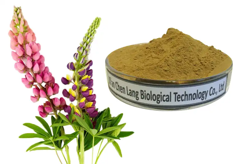 Lupinus-Albus-Extract-j.gif