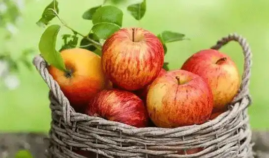 apple.gif