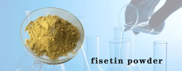 fisetin-powder.gif