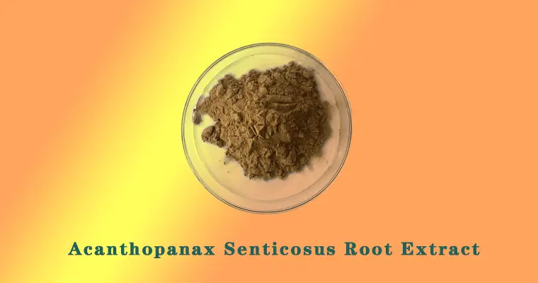 Acanthopanax-Senticosus-Root-Extract.gif