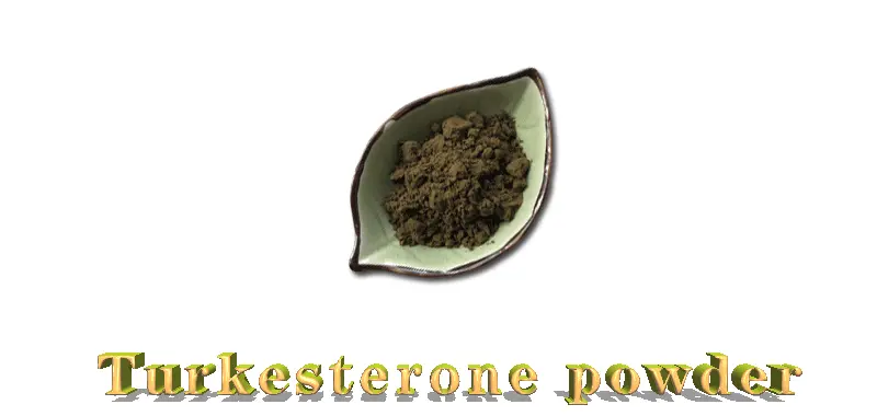 Turkesterone-powder.gif