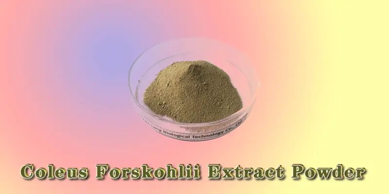 Coleus-Forskohlii-Extract-Powder.gif