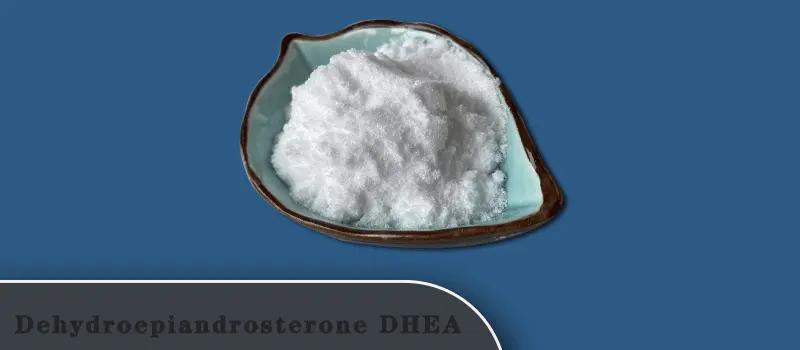 Dehydroepiandrosterone-DHEA.gif