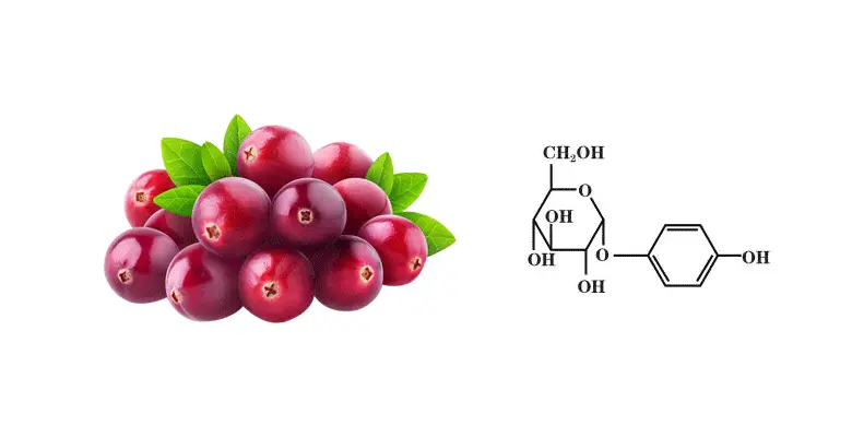 Alpha-Arbutin-p.gif