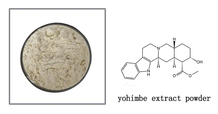 yohimbe-extract-powde.gif