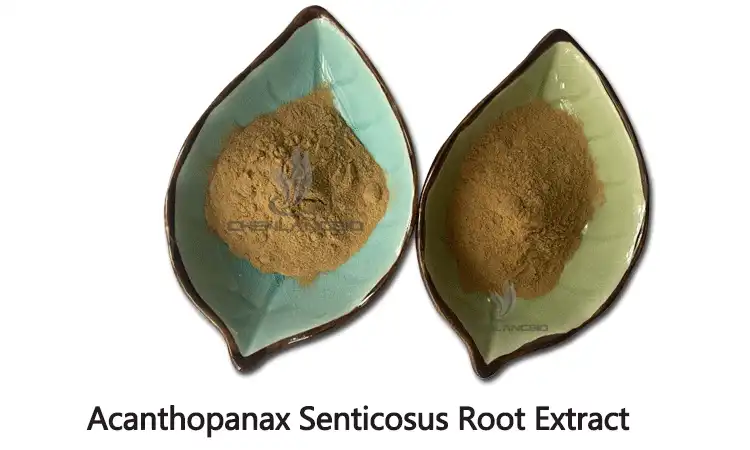 Senticosus-Root-Extract.gif