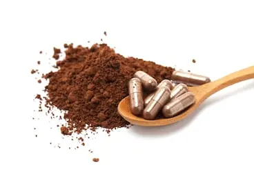 Mushroom-Extract-Powder.gif